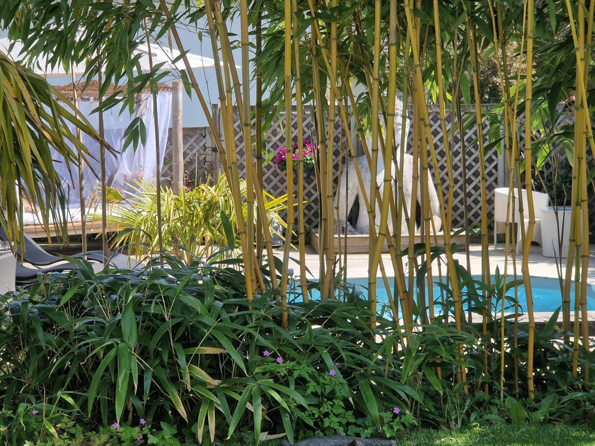 La Serenite Balinaise, Chambre Et Sdb Privee, Jardin , Piscine Et Jacuzzi En Saison, Pres De Chantilly, Parc Asterix Et Cdg Et Paris En 20' Orry-La-Ville Exteriér fotografie